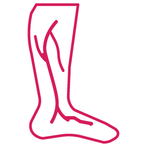 Visible leg veins icon